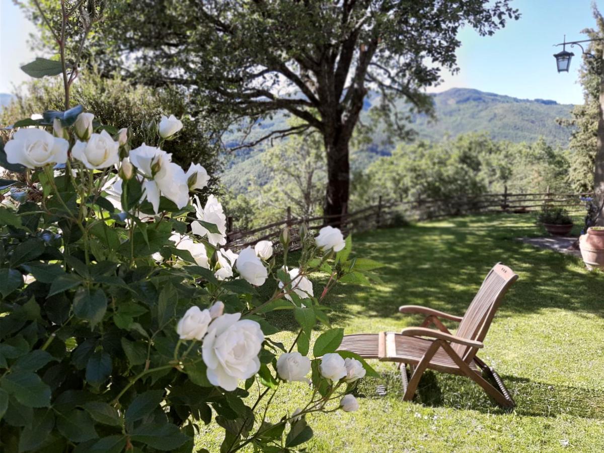 Villa Galearpe With Private Pool In Tuscany Salutio Exterior foto