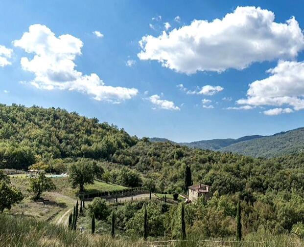 Villa Galearpe With Private Pool In Tuscany Salutio Exterior foto