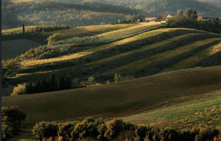 Villa Galearpe With Private Pool In Tuscany Salutio Exterior foto